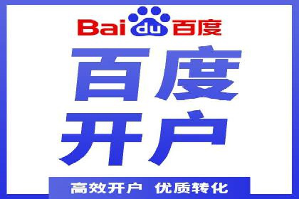 百度竞价推广在电商领域的赚钱案例